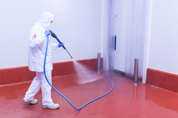 Best Driveway Pressure Washing  in Gainesville, FL